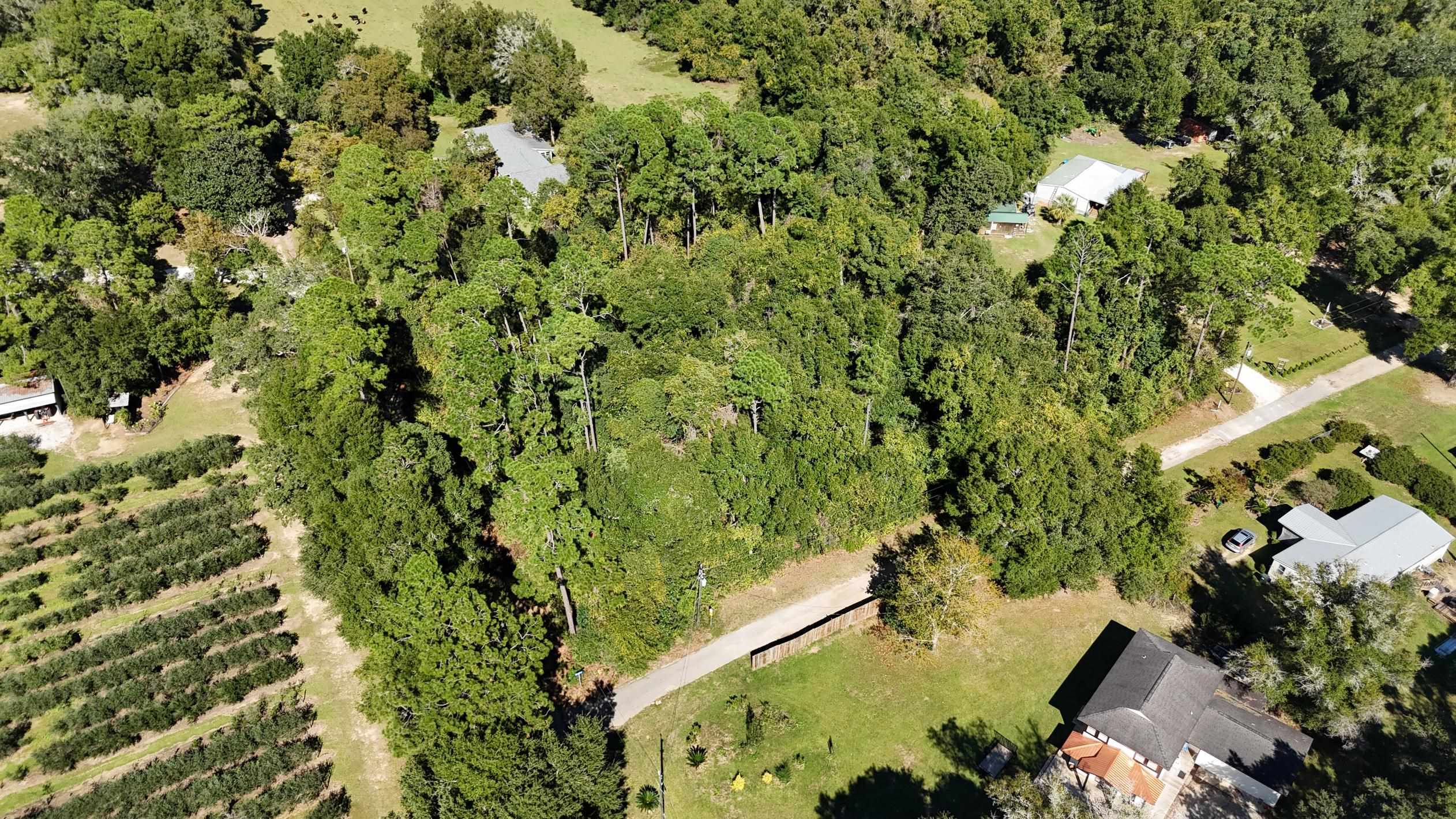 0 Perdido Street Lillian, AL 36549 - Photo 10 of 18 Aerial View