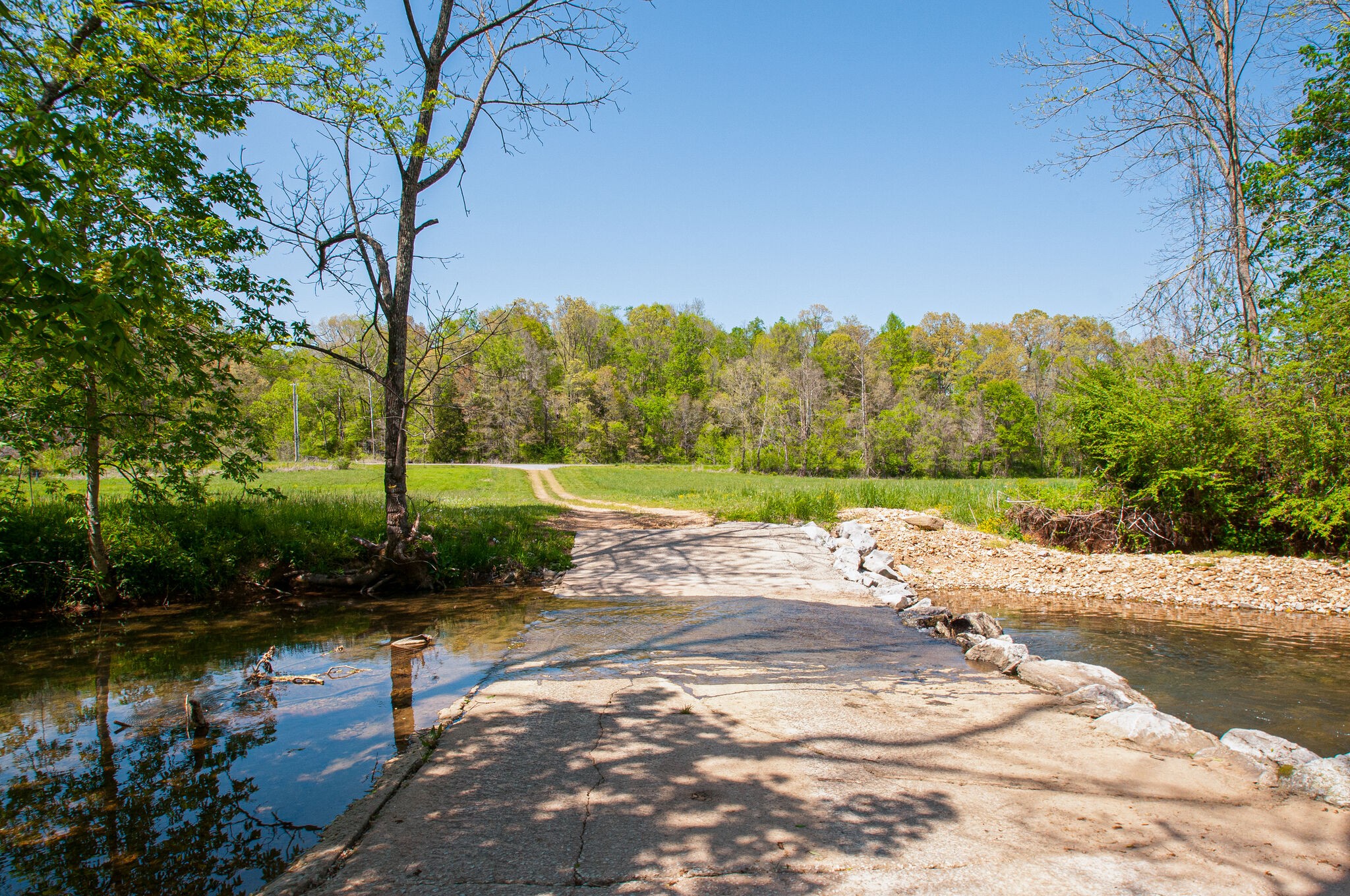 545 Salmon Branch Road Erin, TN 37061 - Photo 41 of 69 Gallery Image 41