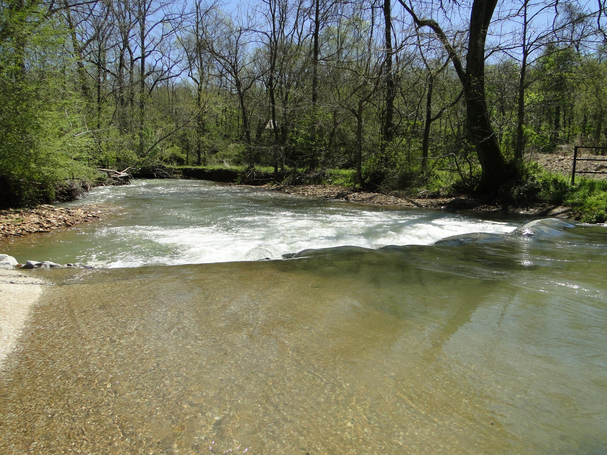 545 Salmon Branch Road Erin, TN 37061 - Photo 45 of 69 Gallery Image 45