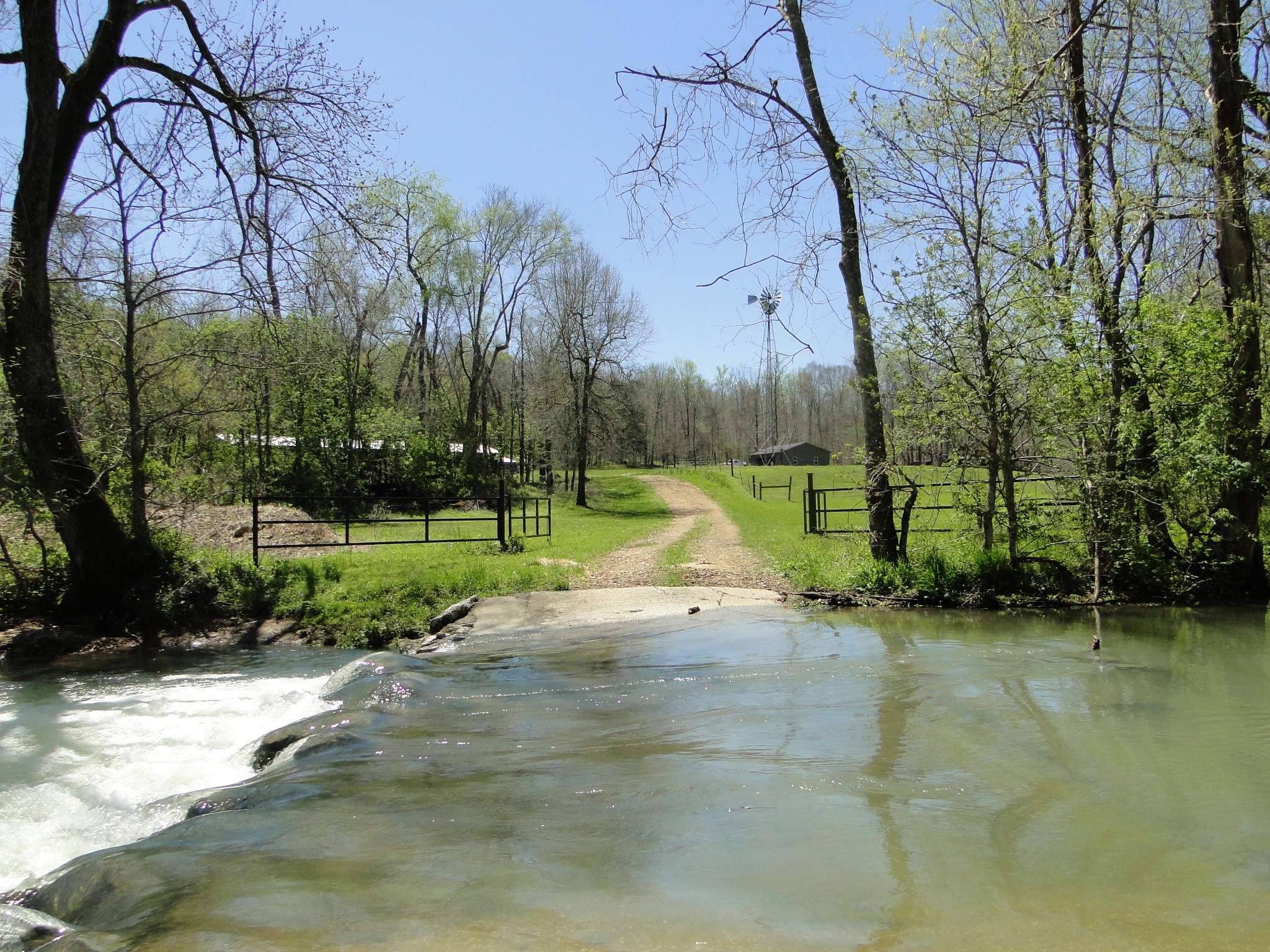 545 Salmon Branch Road Erin, TN 37061 - Photo 46 of 69 Gallery Image 46