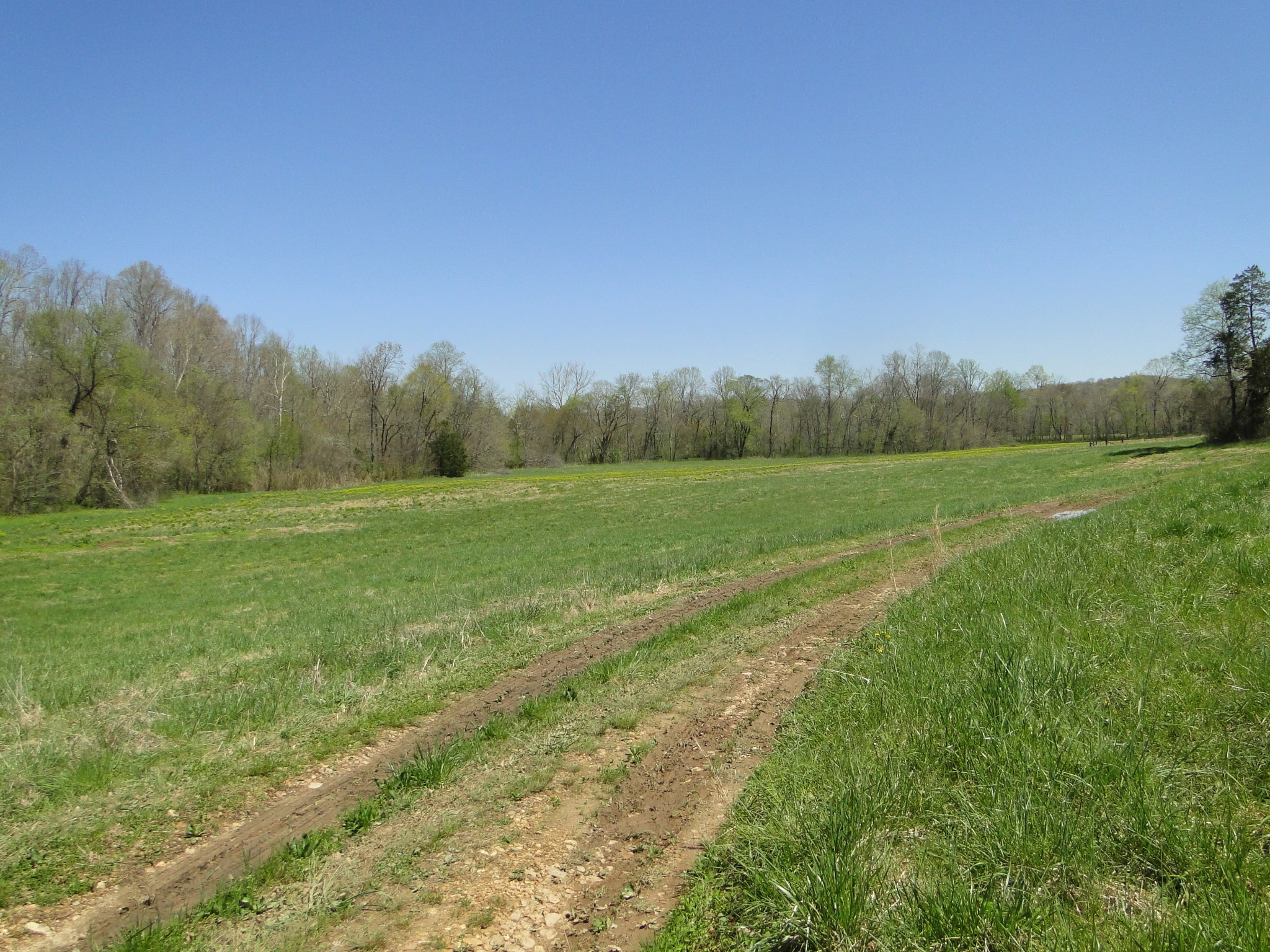 545 Salmon Branch Road Erin, TN 37061 - Photo 48 of 69 Gallery Image 48