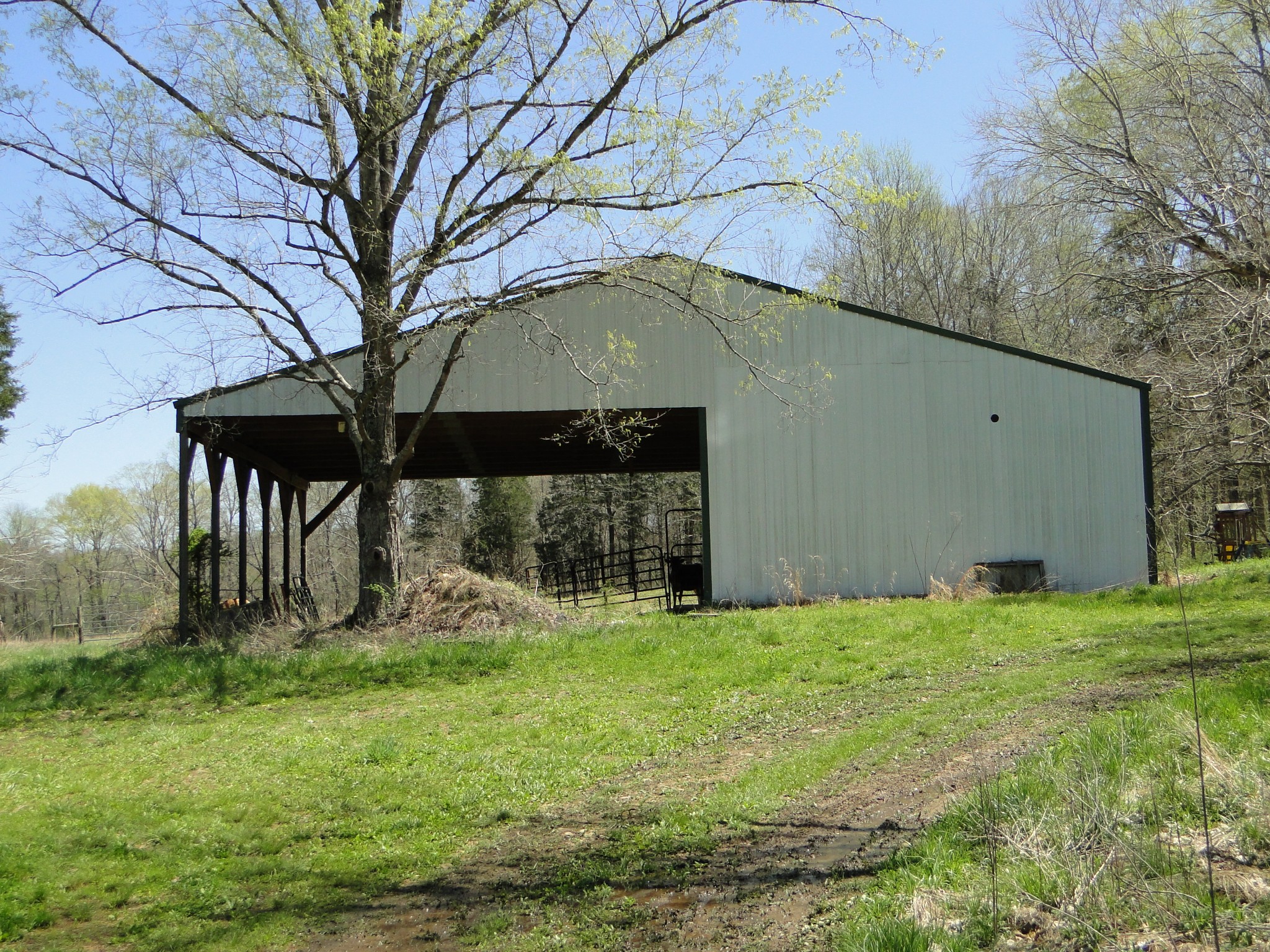 545 Salmon Branch Road Erin, TN 37061 - Photo 50 of 69 Gallery Image 50