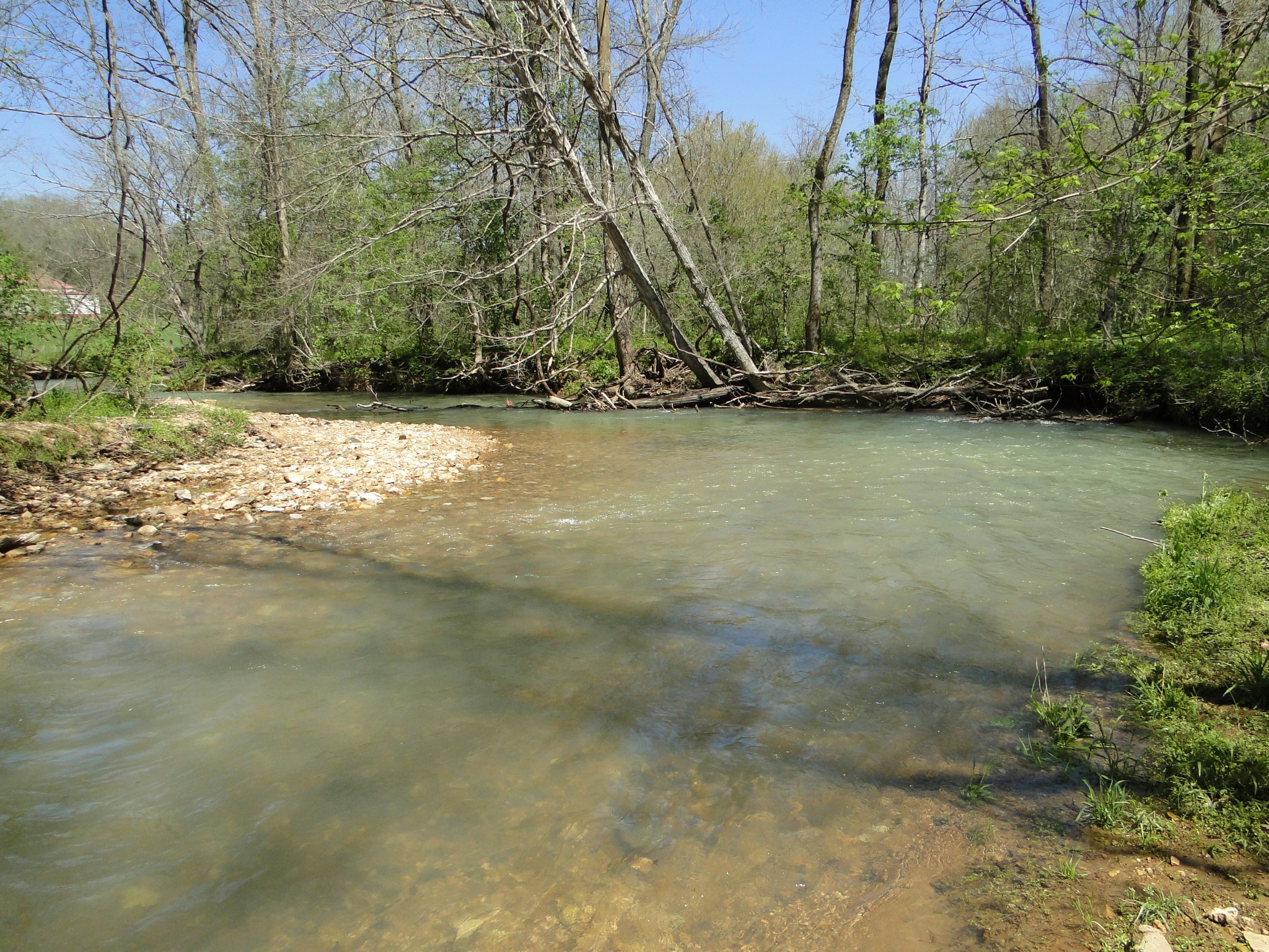 545 Salmon Branch Road Erin, TN 37061 - Photo 54 of 69 Gallery Image 54
