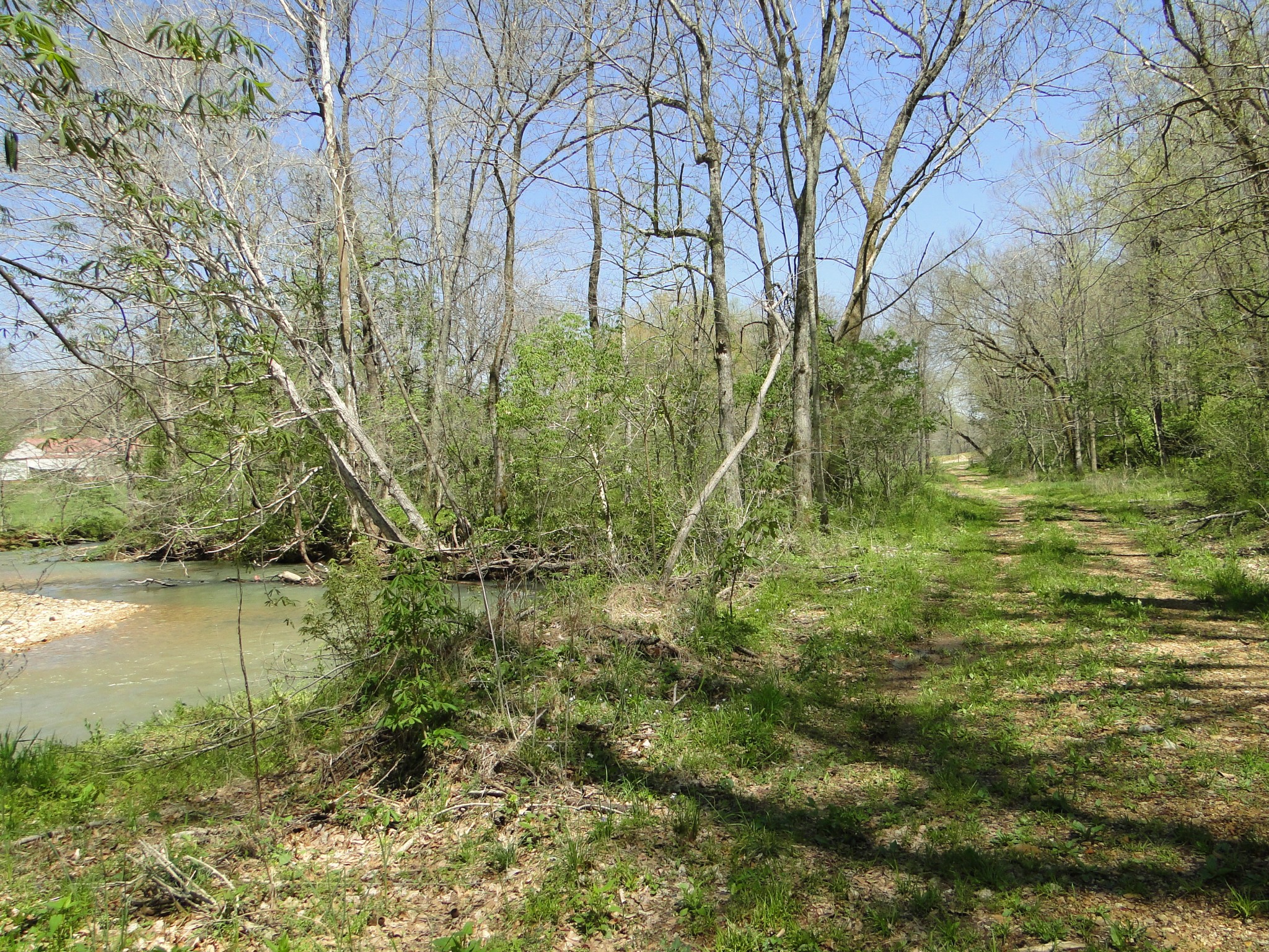 545 Salmon Branch Road Erin, TN 37061 - Photo 55 of 69 Gallery Image 55