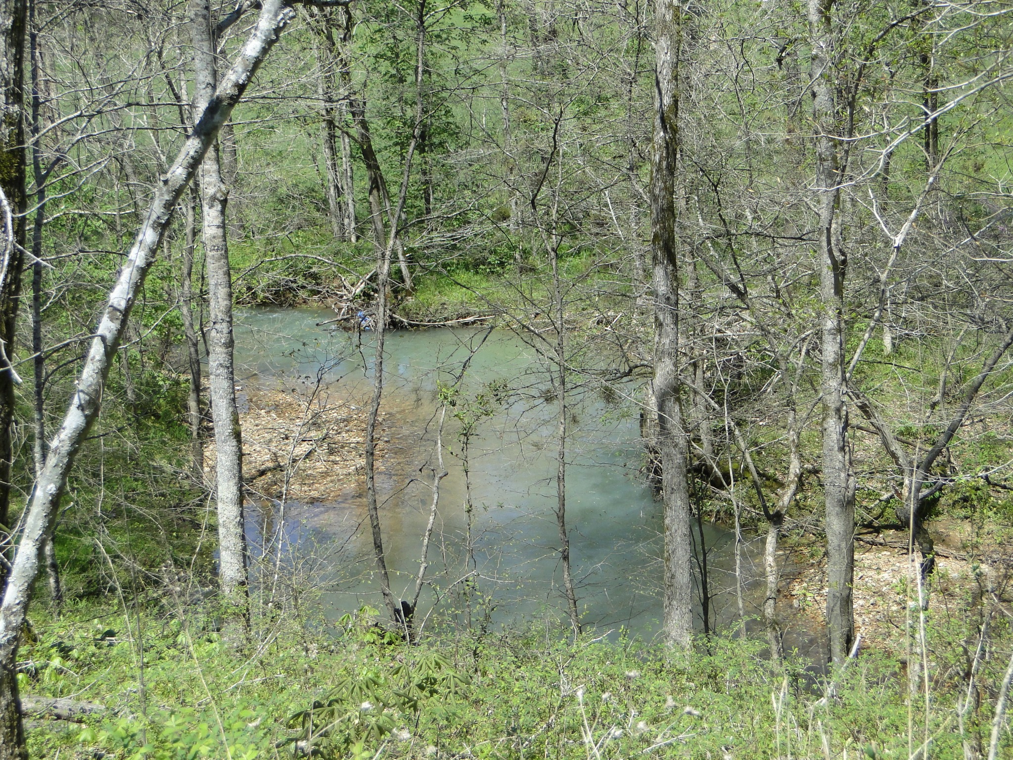 545 Salmon Branch Road Erin, TN 37061 - Photo 56 of 69 Gallery Image 56