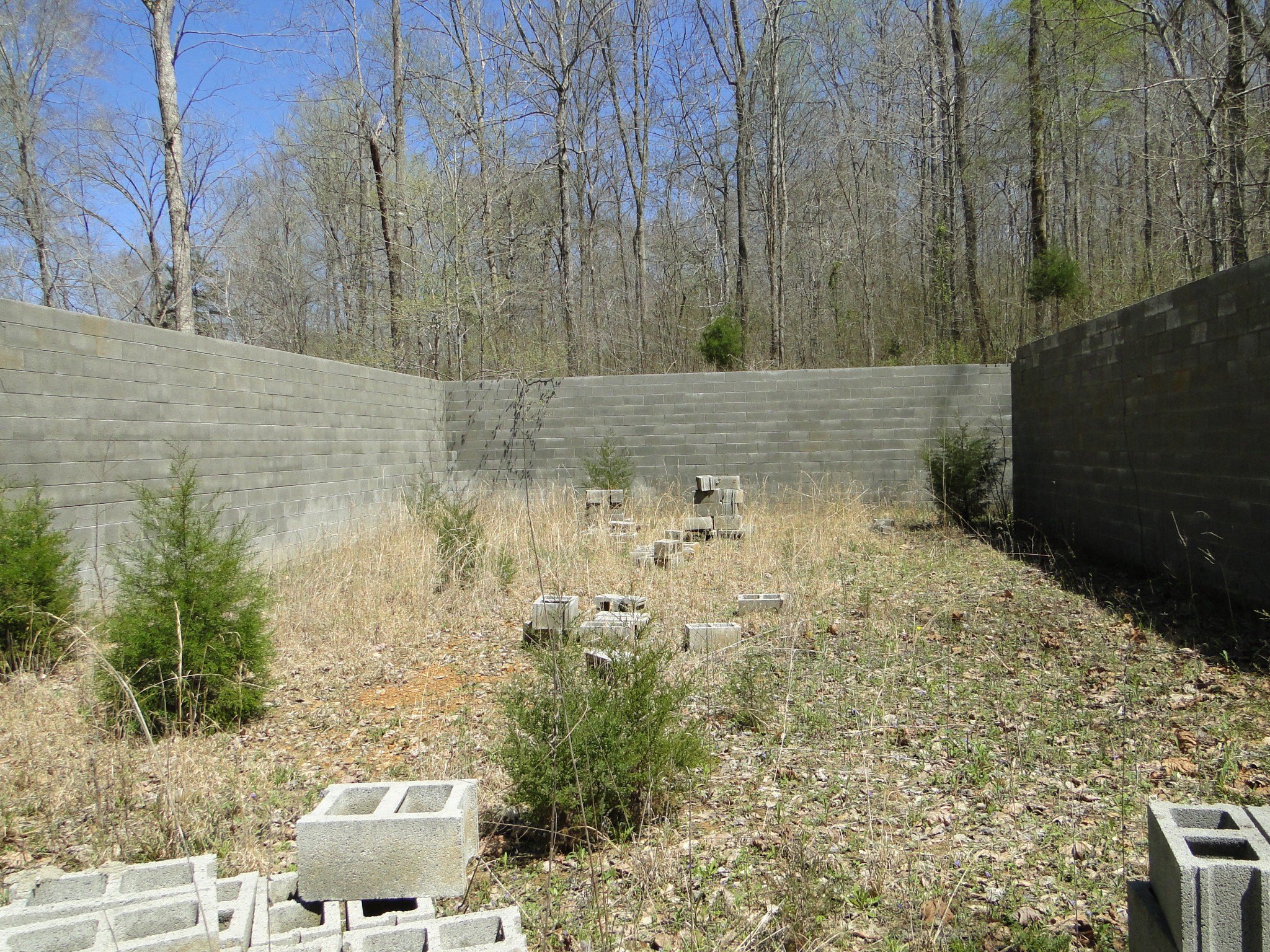 545 Salmon Branch Road Erin, TN 37061 - Photo 59 of 69 Gallery Image 59
