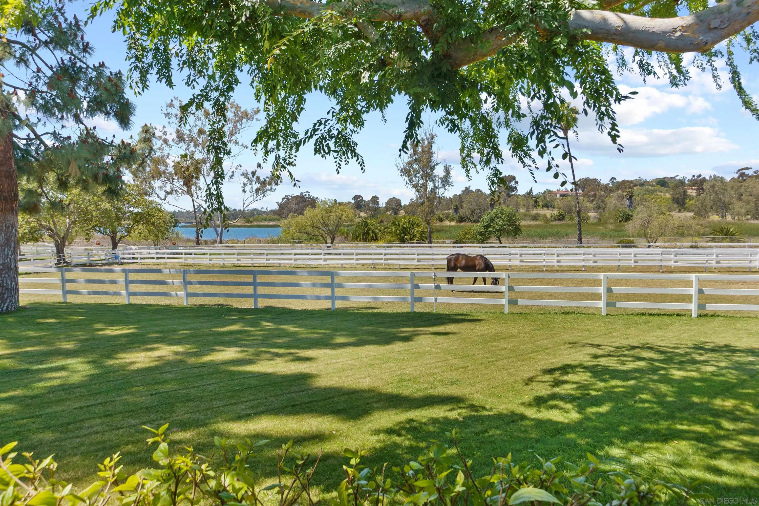 6685-6701 Lago Lindo Rancho Santa Fe, CA 92067 - Photo 1 of 1