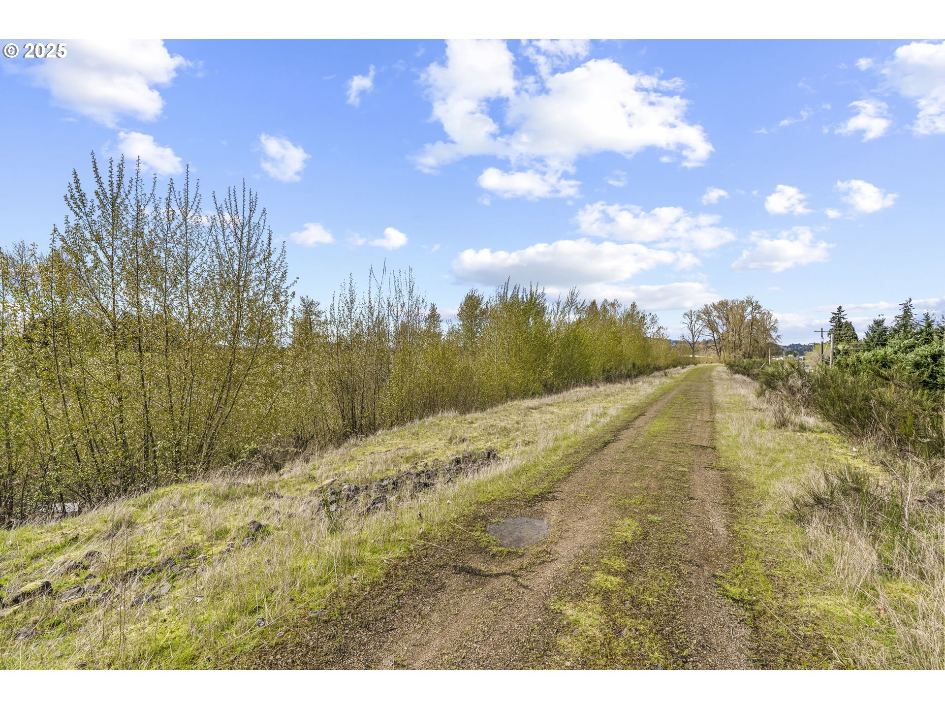 0 River Road Kelso, WA 98626 - Photo 9 of 14 Gallery Image 9
