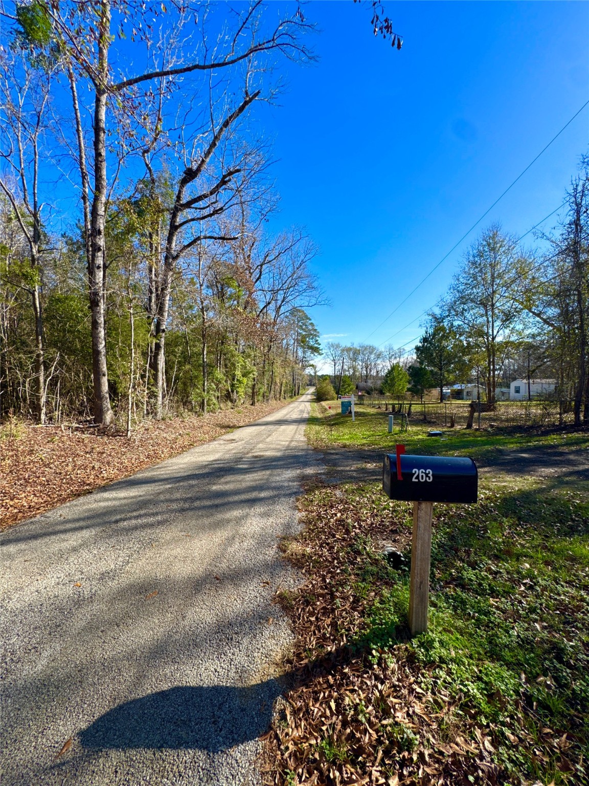 263 County Road 355 Jasper, TX 75951 - Photo 1 of 45 a view of a park with large trees