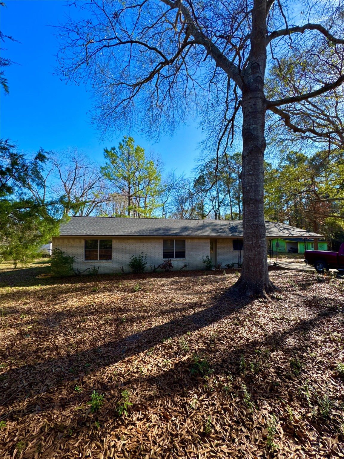 263 County Road 355 Jasper, TX 75951 - Photo 2 of 45 a backyard of a house with lots of green space