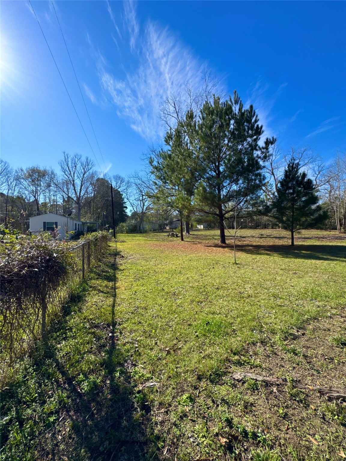 263 County Road 355 Jasper, TX 75951 - Photo 41 of 45 a view of yard with green space