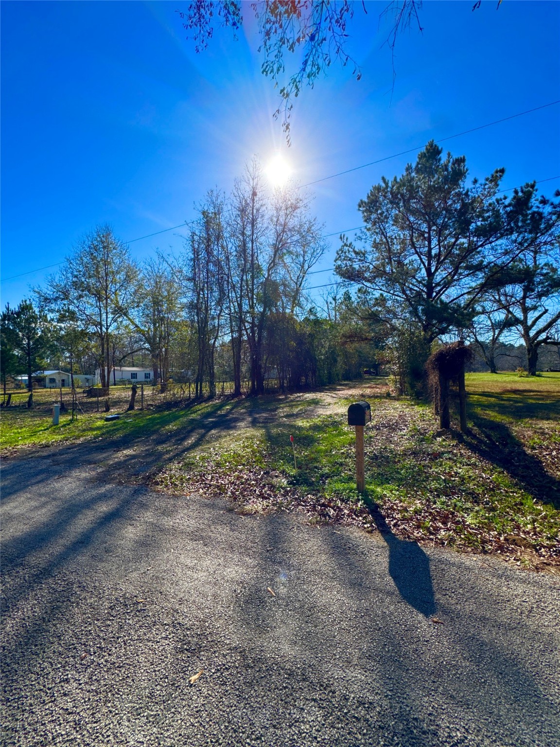 263 County Road 355 Jasper, TX 75951 - Photo 42 of 45 a view of a yard with wooden fence