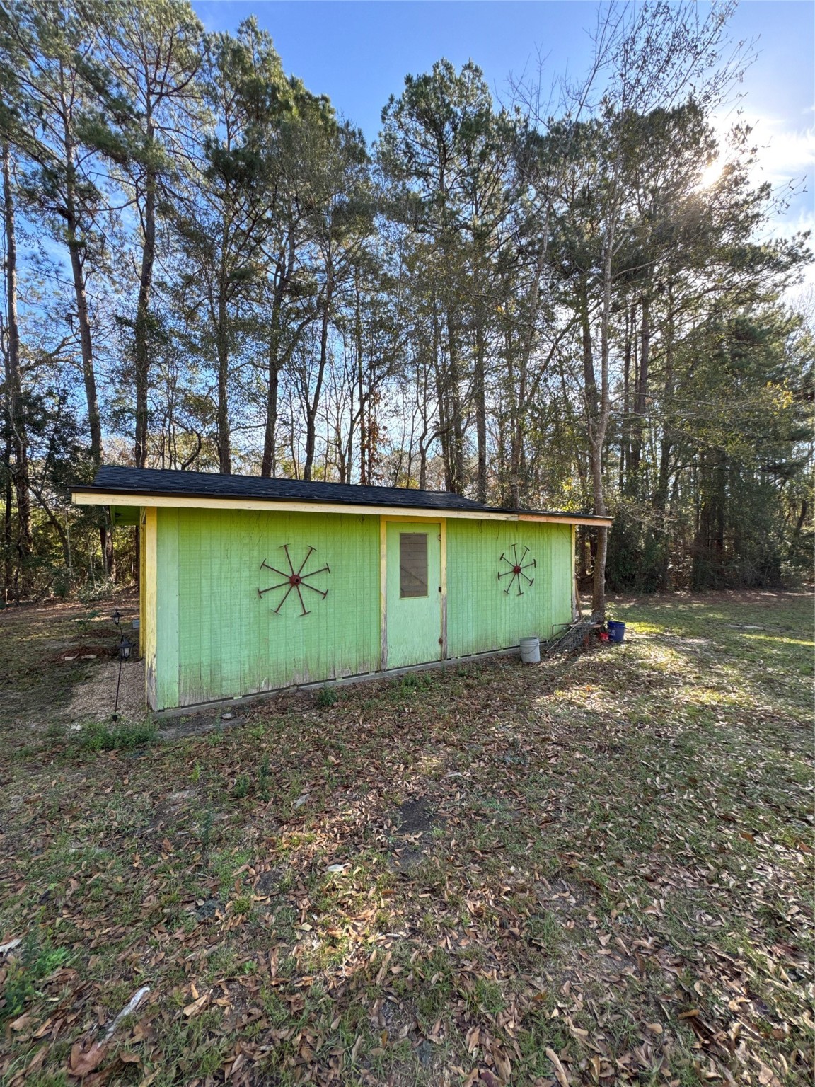 263 County Road 355 Jasper, TX 75951 - Photo 9 of 45 a view of a backyard with large trees