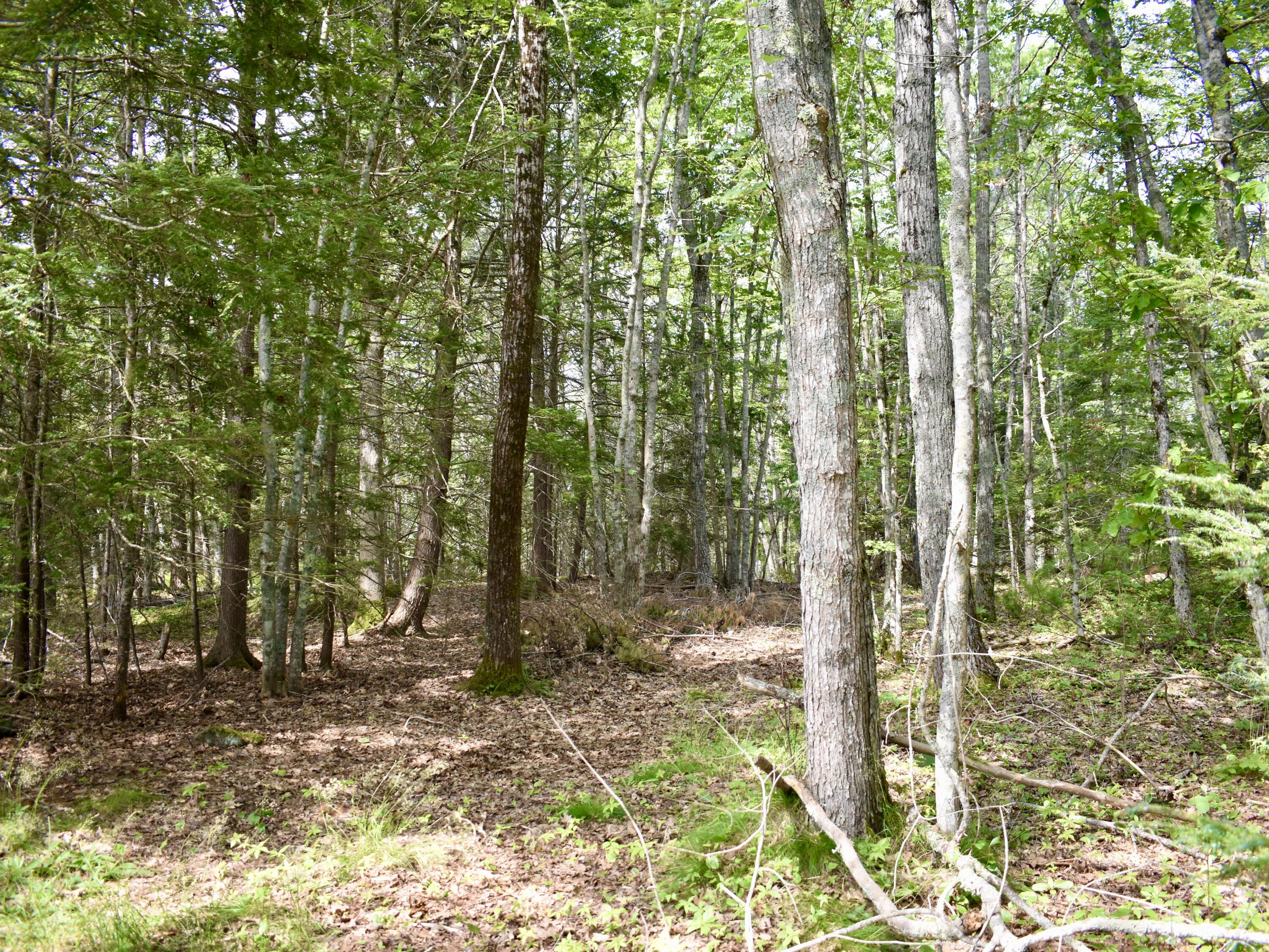 115 Campbell Pond Road West Bath, ME 04530 - Photo 39 of 47 38