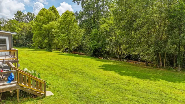 a view of a big yard with swimming pool