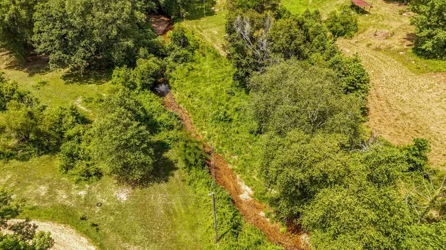 a view of a big yard