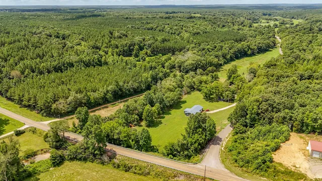 a view of a garden with a tree