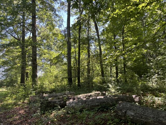 362 Cullen Savage Road Palmer, TN 37365 - Photo 36 of 76 IMG_7174