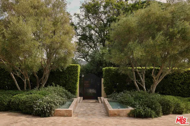 a view of a street with potted plants and large trees