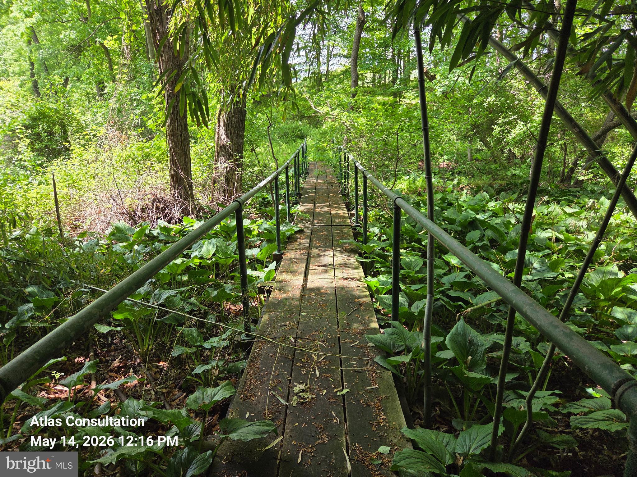 1475 Langhorne Yardley Road Langhorne, PA 19047 - Photo 5 of 15 Serene path through lush greenery.