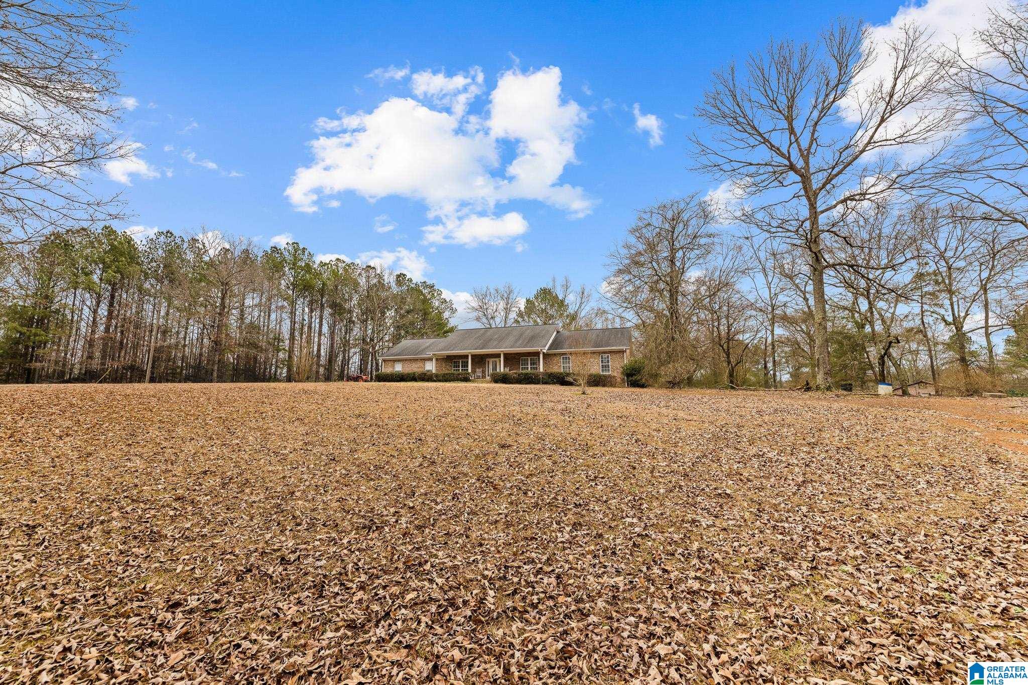 814 Deer Trace Road Pell City, AL 35125 - Photo 34 of 40