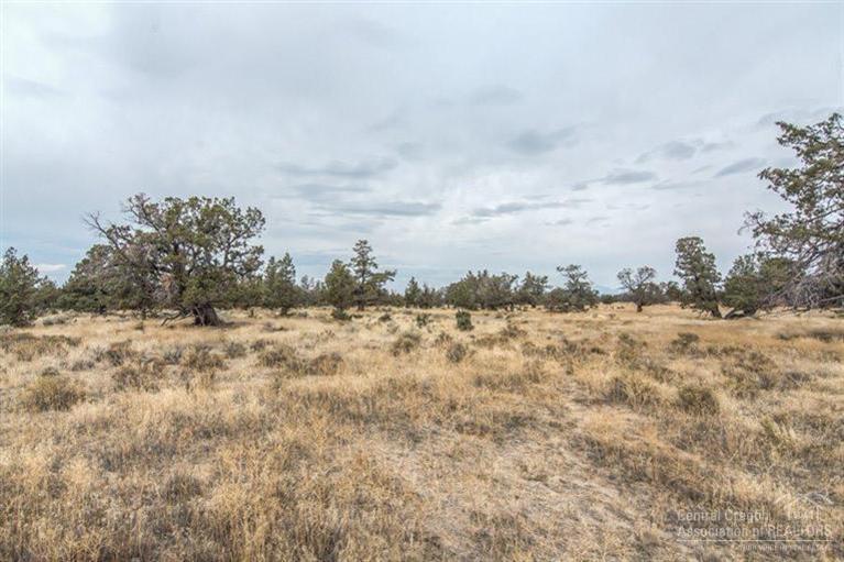 8565 Wiley Road Powell Butte, OR 97753 - Photo 23 of 25 Additional Photo