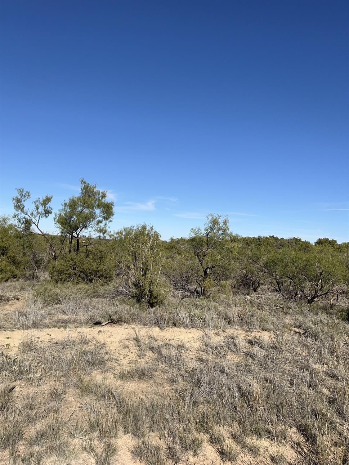 58 Ward Snyder, TX 79549 - Photo 20 of 22 Photo 20