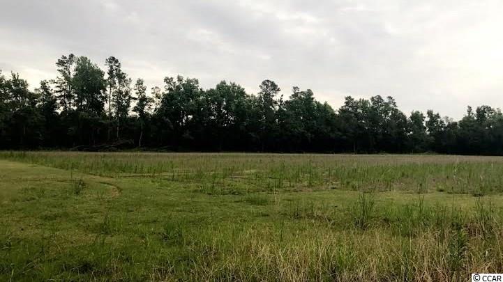 Lot 1 St John Road Aynor, SC 29544 - Photo 2 of 6 Gallery Image 2