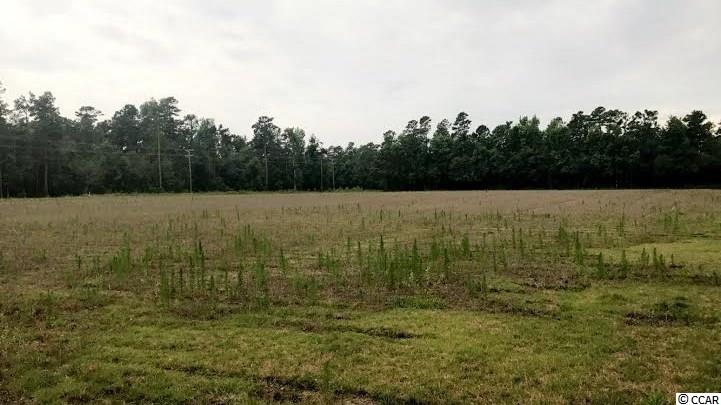 Lot 1 St John Road Aynor, SC 29544 - Photo 4 of 6 Gallery Image 4