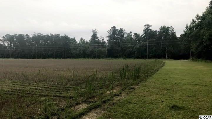 Lot 1 St John Road Aynor, SC 29544 - Photo 5 of 6 Gallery Image 5