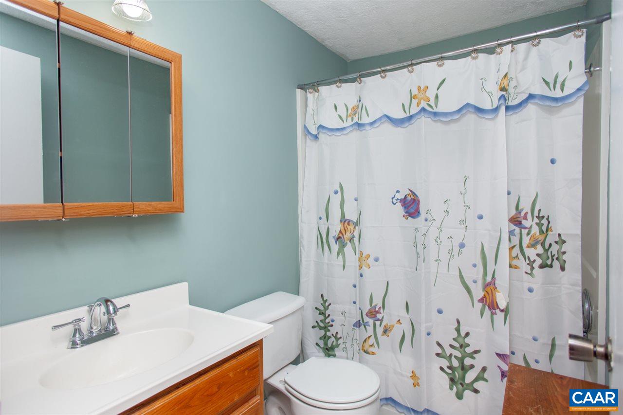 4202 Blenheim Road Charlottesville, VA 22902 - Photo 18 of 27 Gallery Image 18