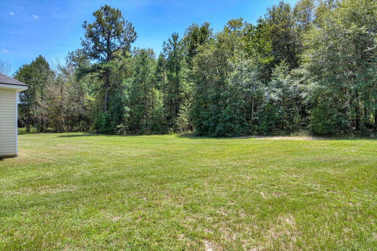 1359 Oak Ridge Plantation Road Hephzibah, GA 30815 - Photo 33 of 35 31-031-