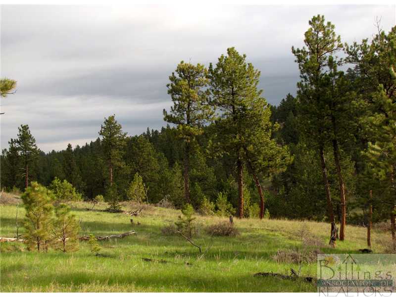 45 Juniper Road Roundup, MT 59072 - Photo 1 of 1 Gallery Image 1