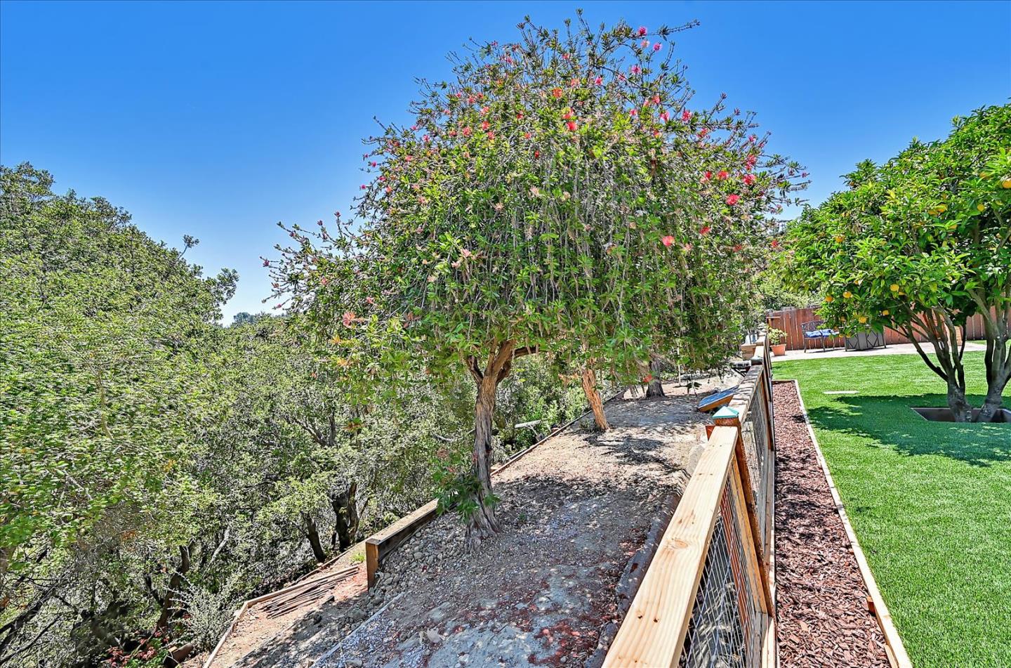 290 Alcott Road San Bruno, CA 94066 - Photo 51 of 52 Gallery Image 51