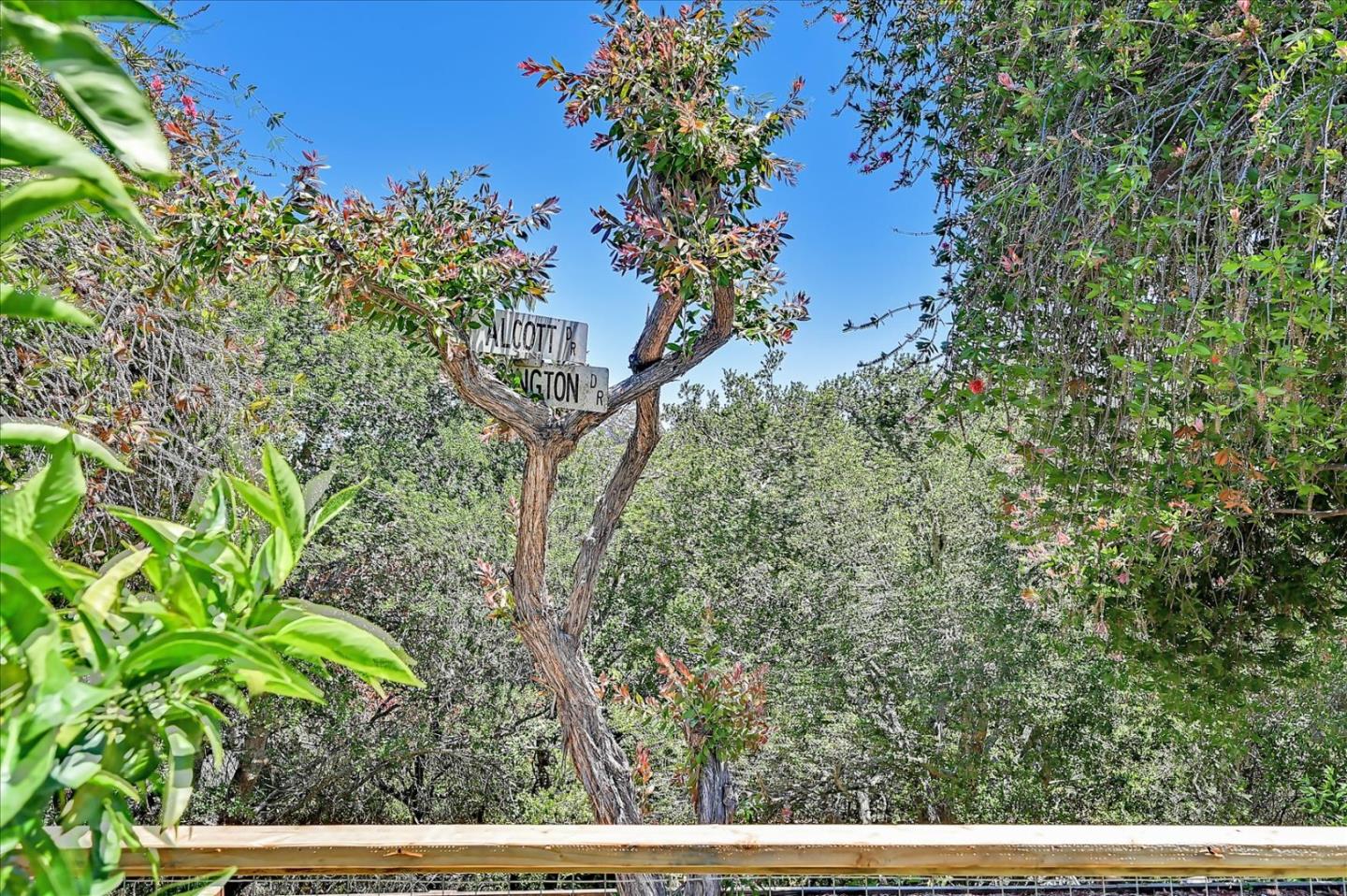 290 Alcott Road San Bruno, CA 94066 - Photo 52 of 52 Gallery Image 52