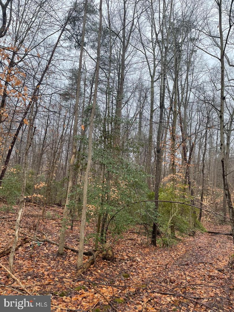 380 Mason Road Prince Frederick, MD 20678 - Photo 1 of 4 a backyard of a house with lots of green space