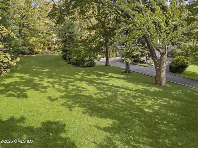 a view of yard with trees