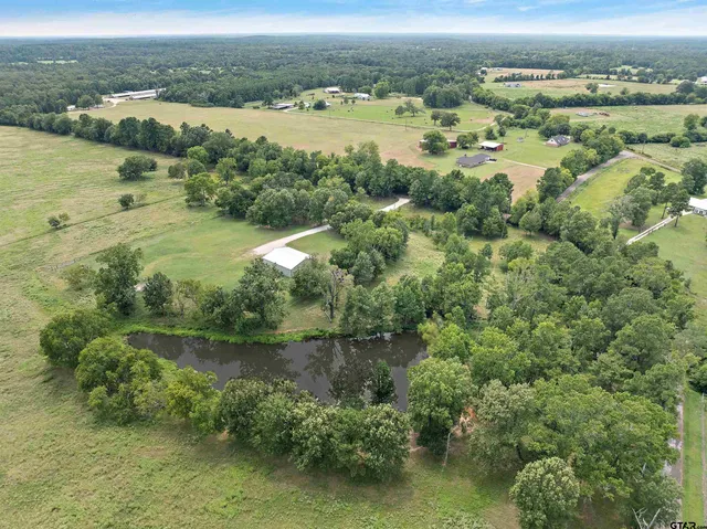 an aerial view of green landscape with trees houses and lake view