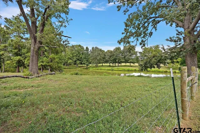 a view of a yard with an trees