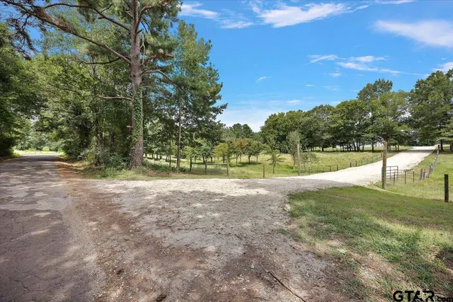a view of a yard with a tree