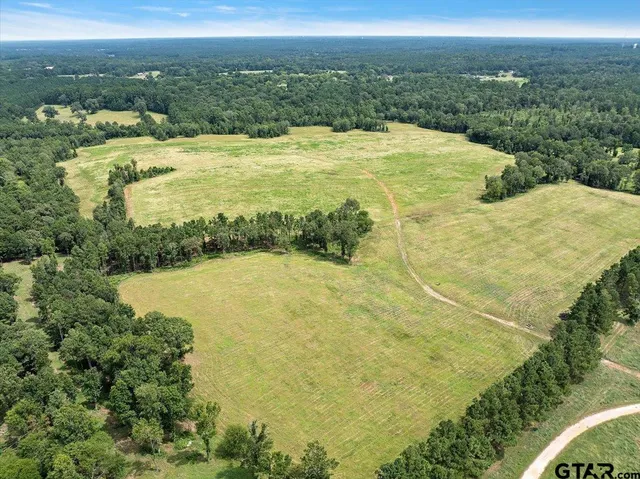 a view of a lake with a city view
