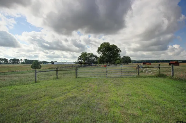 a view of a park with large trees