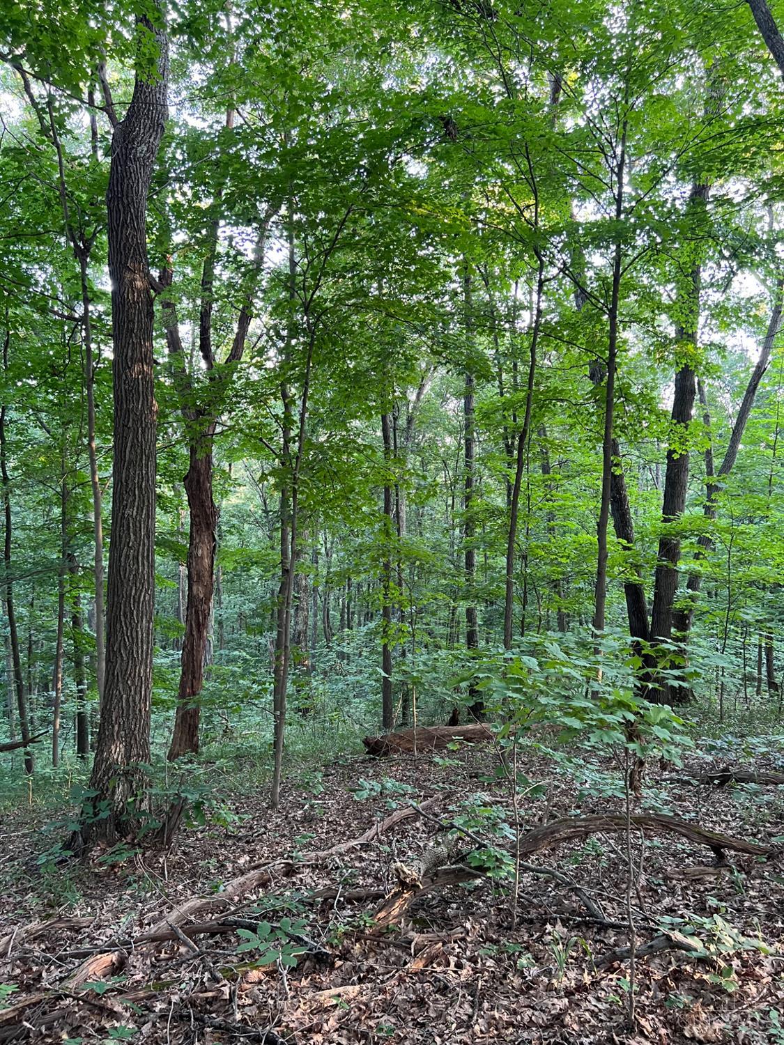 0 Tabernacle Road Chillicothe, OH 45601 - Photo 57 of 64