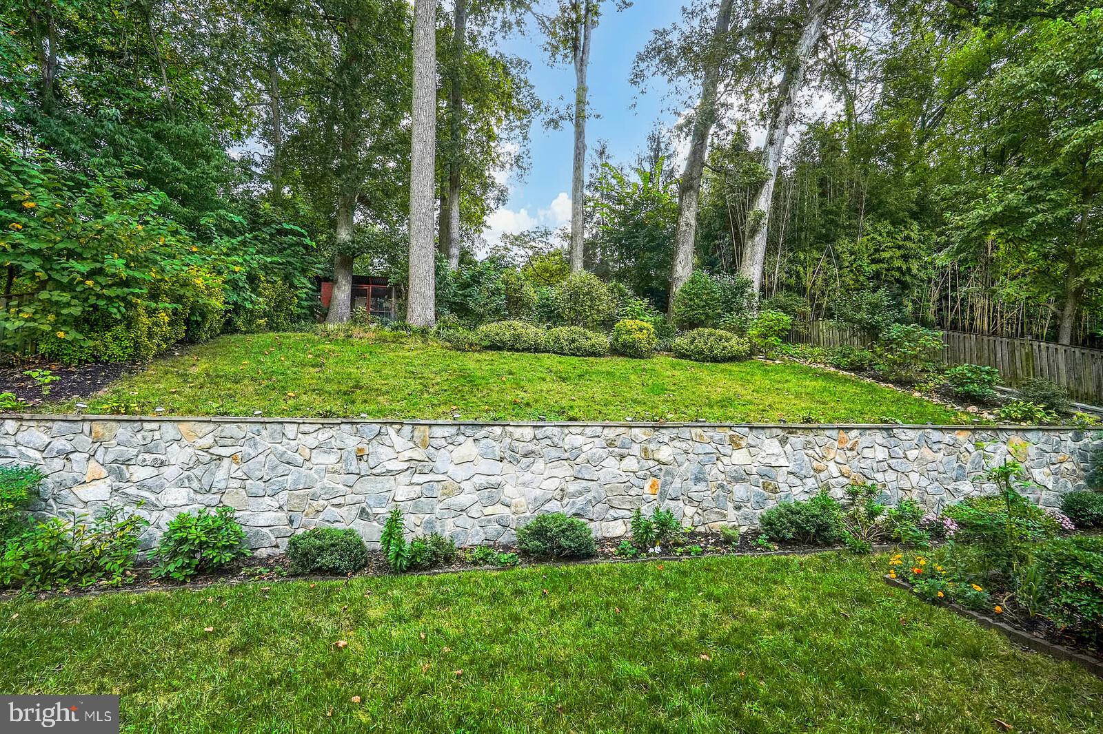 9505 Columbia Boulevard Silver Spring, MD 20910 - Photo 39 of 55 a view of a backyard with large trees
