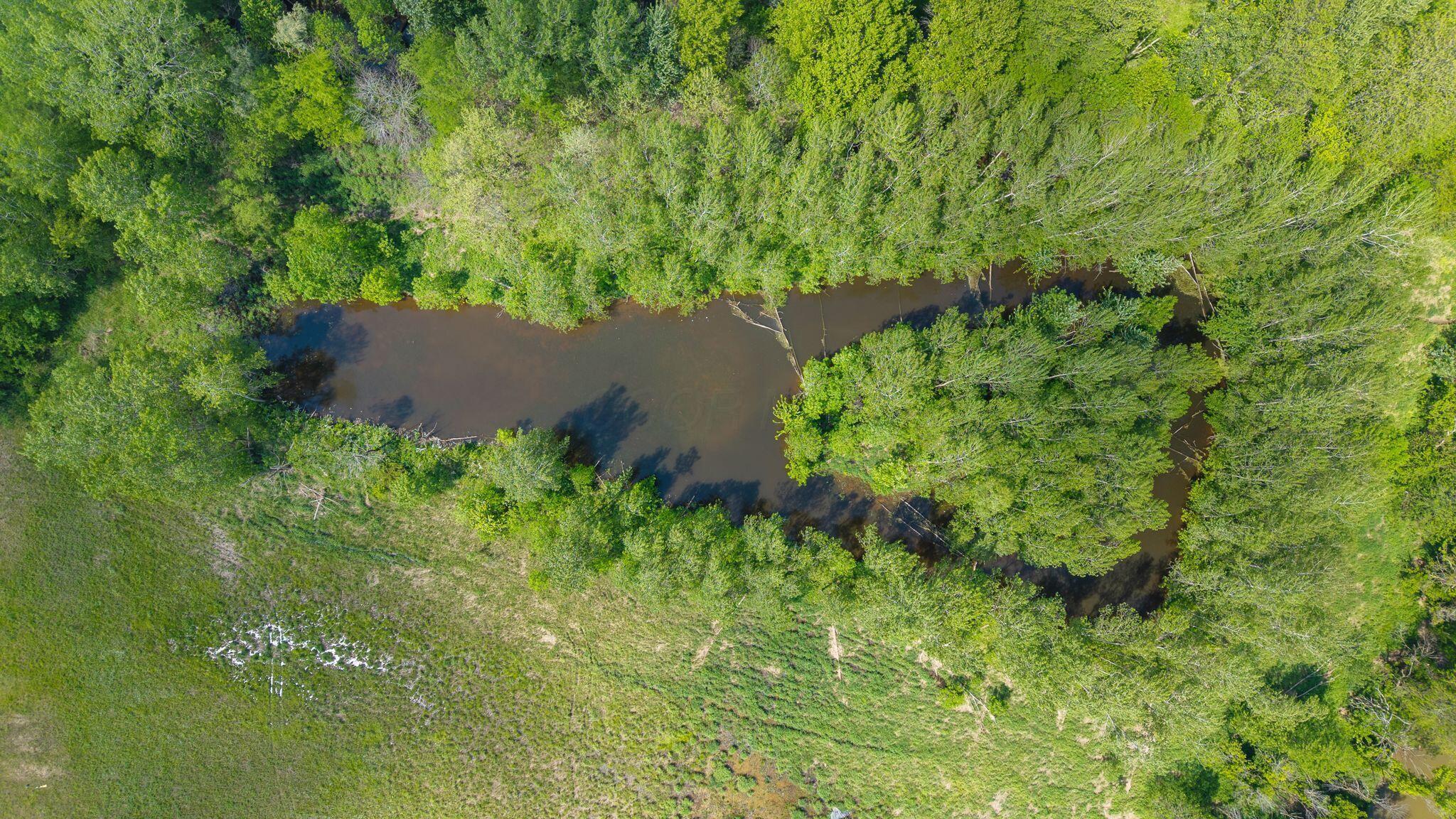 4160 Lyons Road Caledonia, OH 43314 - Photo 41 of 43 DJI_20260519144901_0144_D