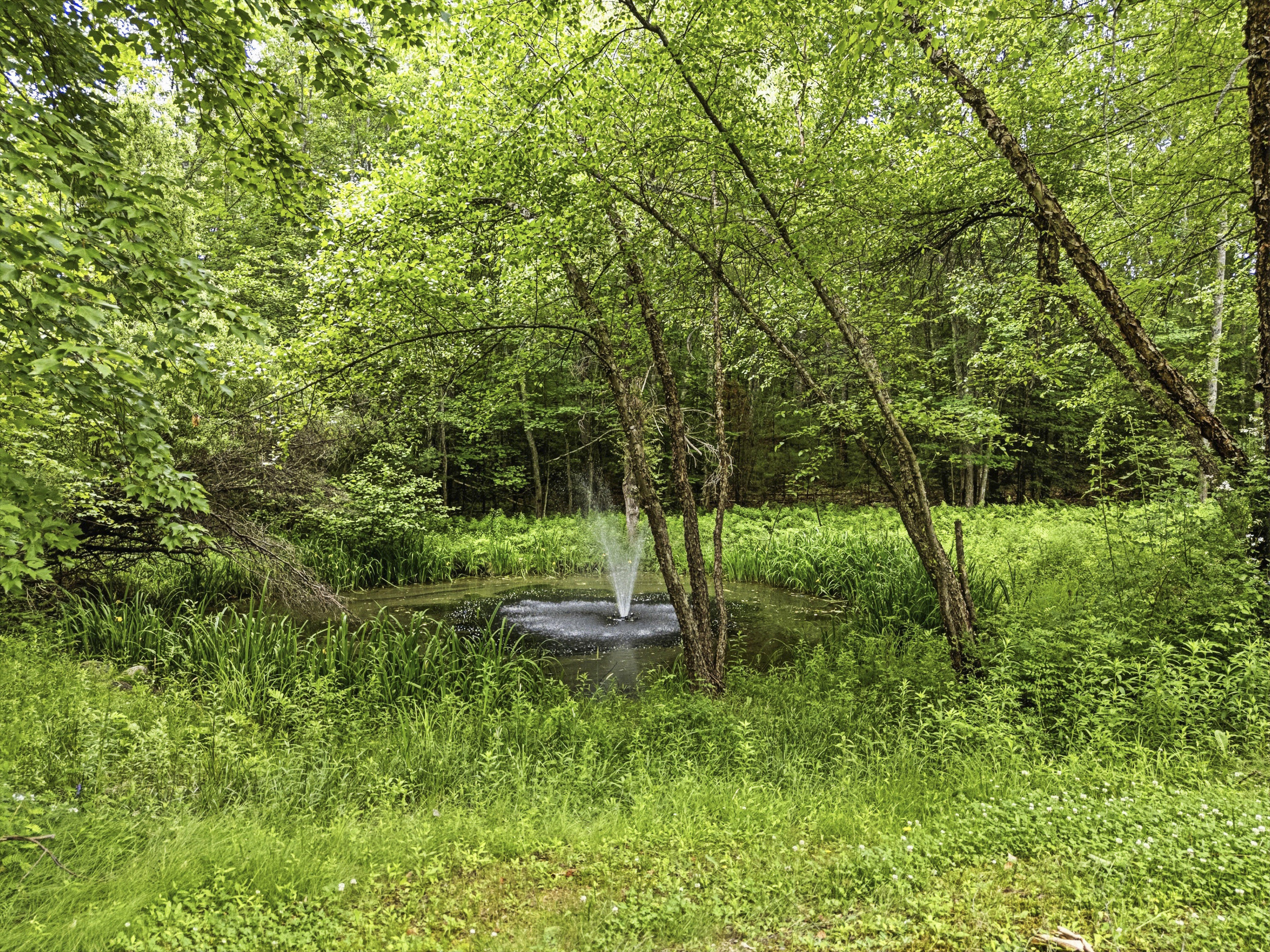 169 Jenkins Road Saco, ME 04072 - Photo 52 of 56