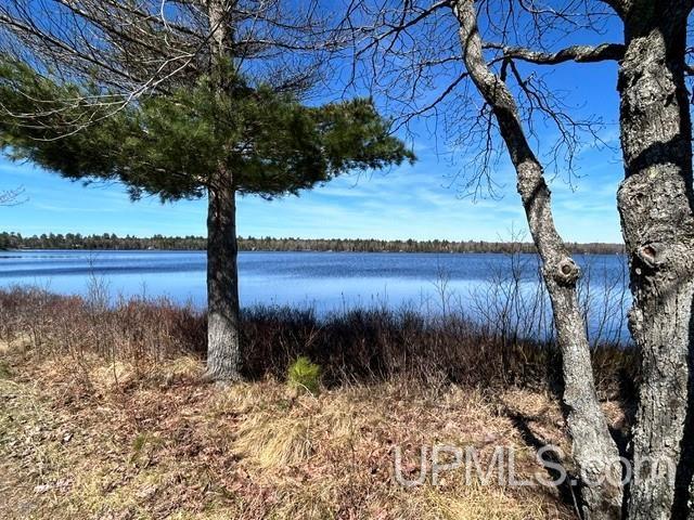 61 Little Rice Lk Road Lake Linden, MI 49945 - Photo 16 of 29