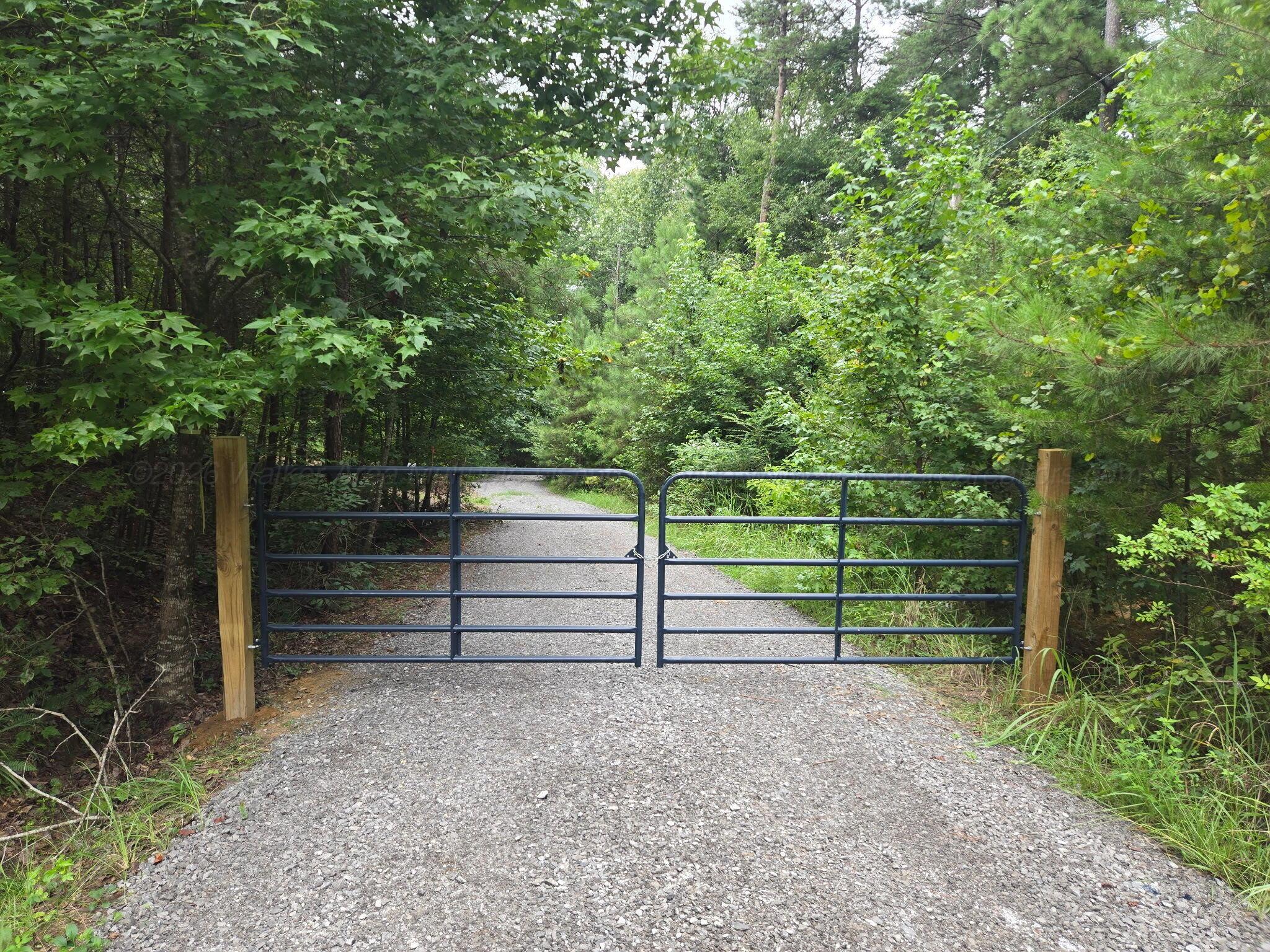 Gallery Image 5