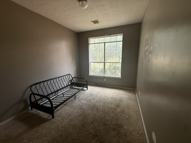 3027 Country Boy Court Spring, TX 77373 - Photo 8 of 20