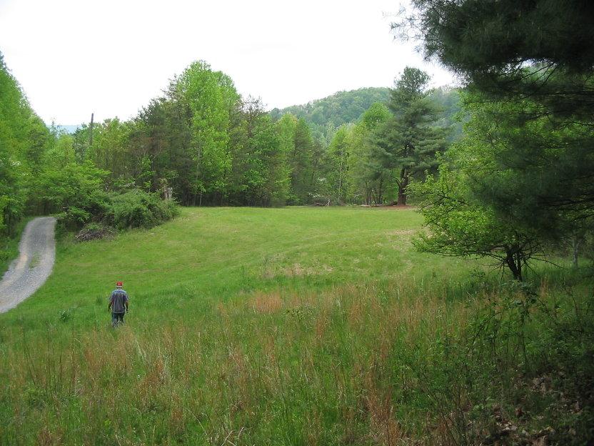 999 Hatcher Road Jumping Branch, WV 25969 - Photo 4 of 16 Gallery Image 4
